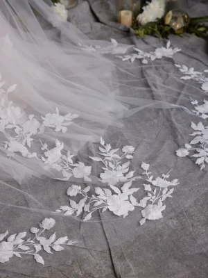 Rebecca Ingram Hattie Lane A Line Where to buy a wedding dress in San Diego
