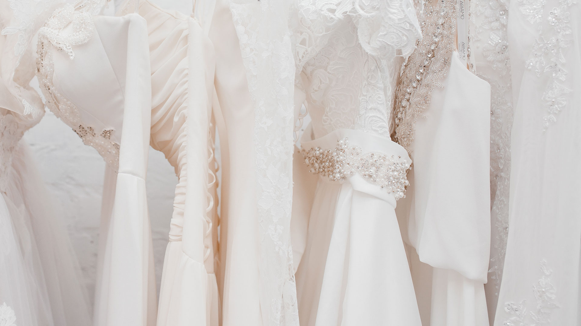 Sample Sale Cover